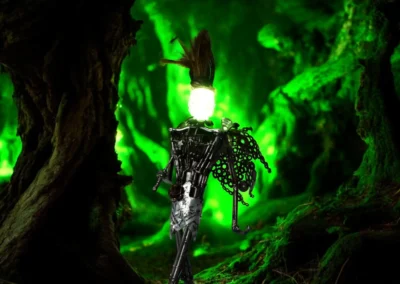 The Fairy